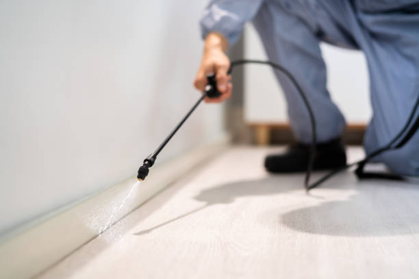 Licensed Pest Control service in Leadville, CO - Show Me Pest Control