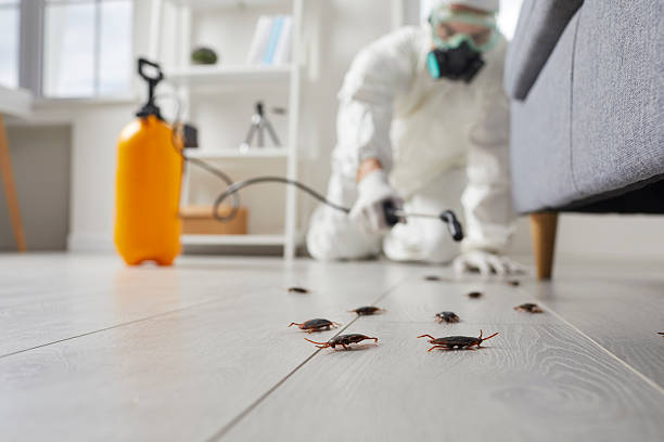 Commercial Rodent Management in Leadville